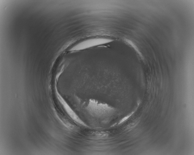 X0000070170443200606162100