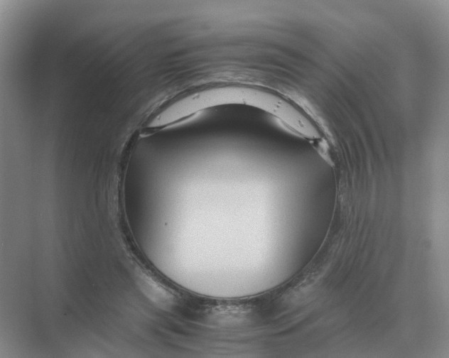 X0000070170445200606162100