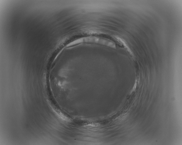 X0000070170447200606162100