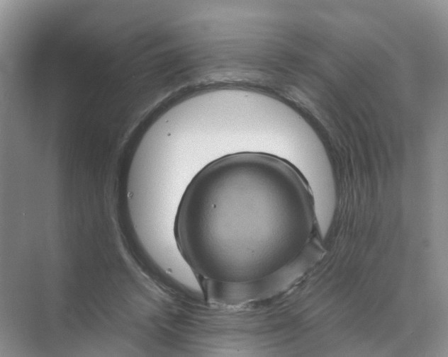 X0000070170448200606162100