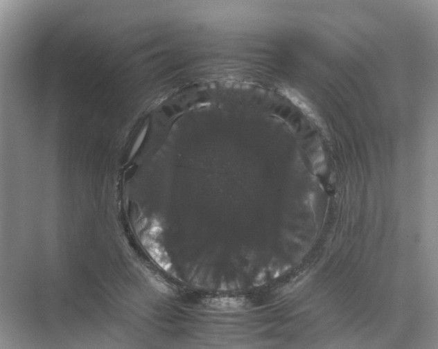 X0000070170449200606162100