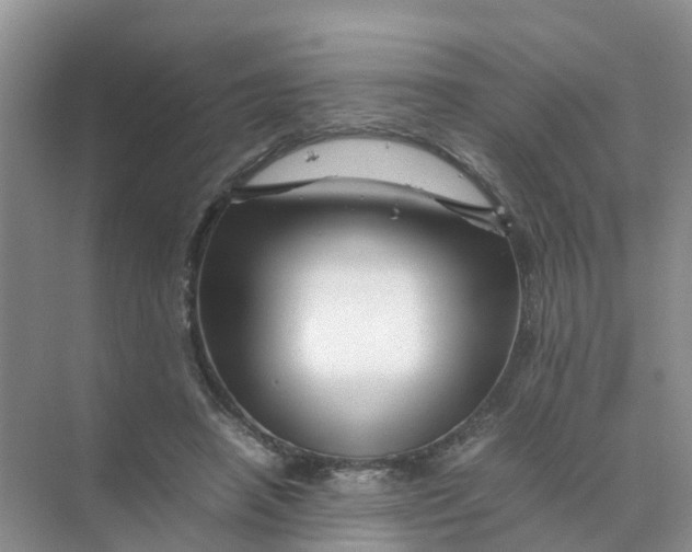 X0000070170450200606162100