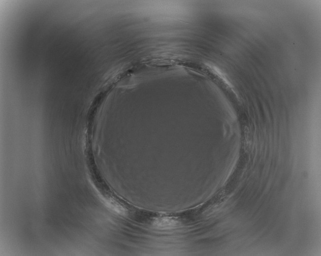 X0000070170451200606162100