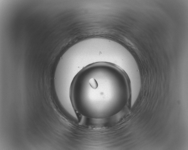 X0000070170452200606162100