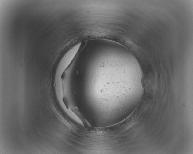 X0000070170454200606162100