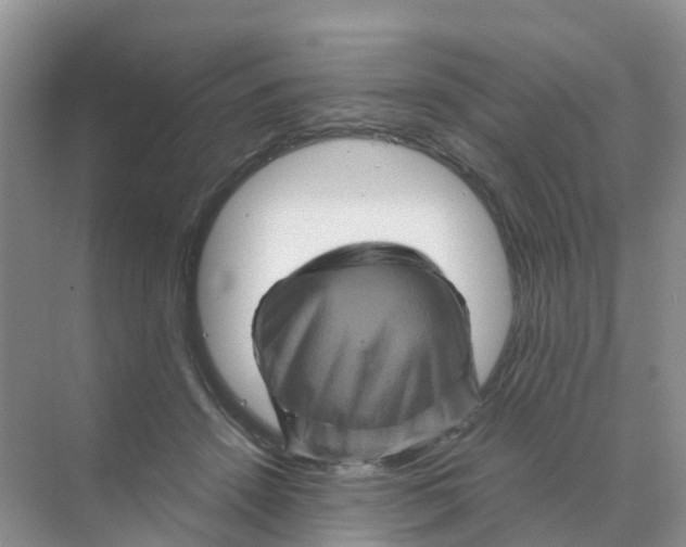 X0000070170456200606162100