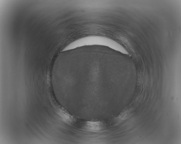 X0000070170457200606162100