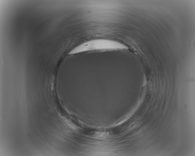 X0000070170458200606162100