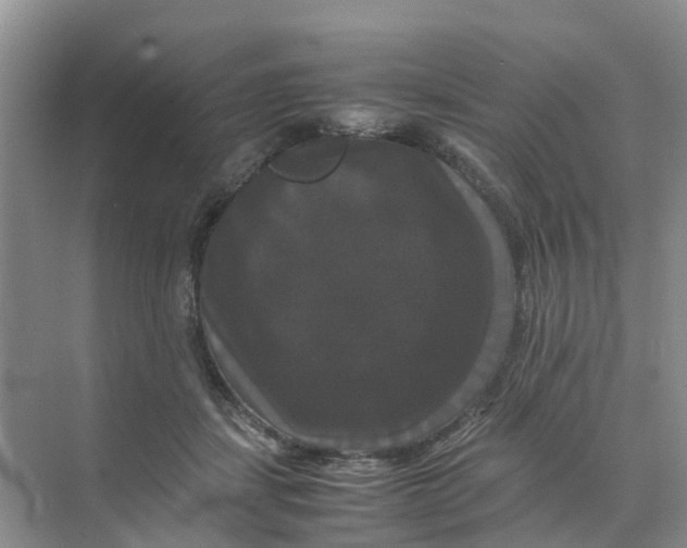 X0000070170459200606162100