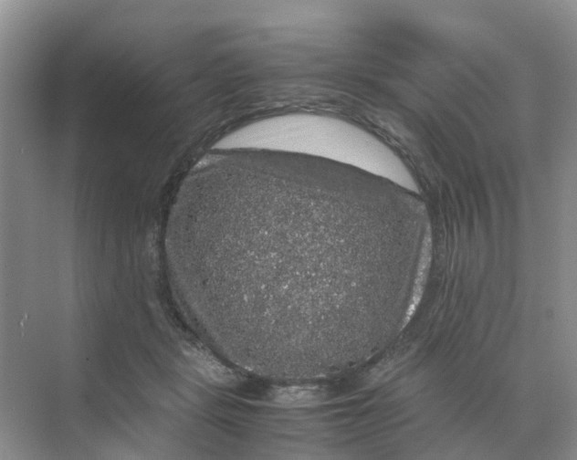 X0000070170461200606162100