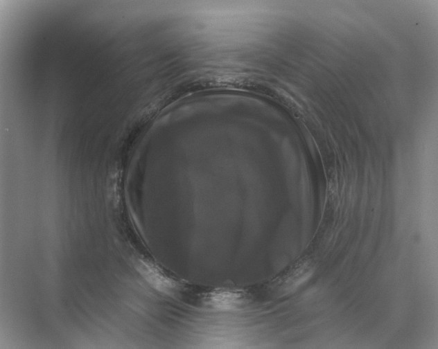 X0000070170462200606162100