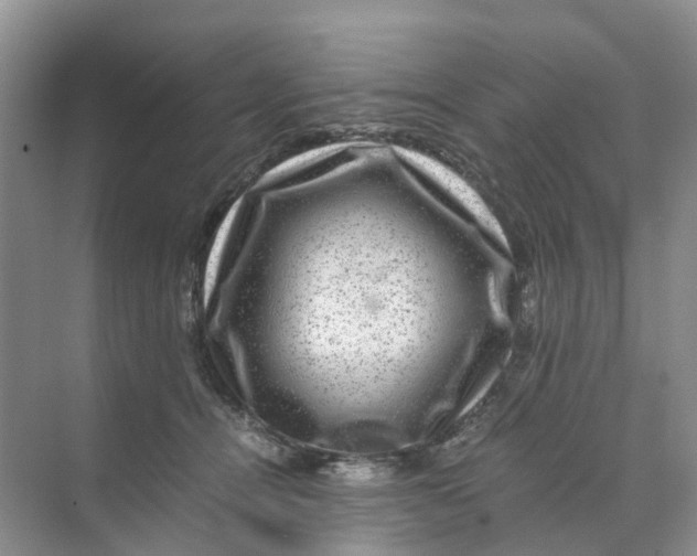 X0000070170464200606162100