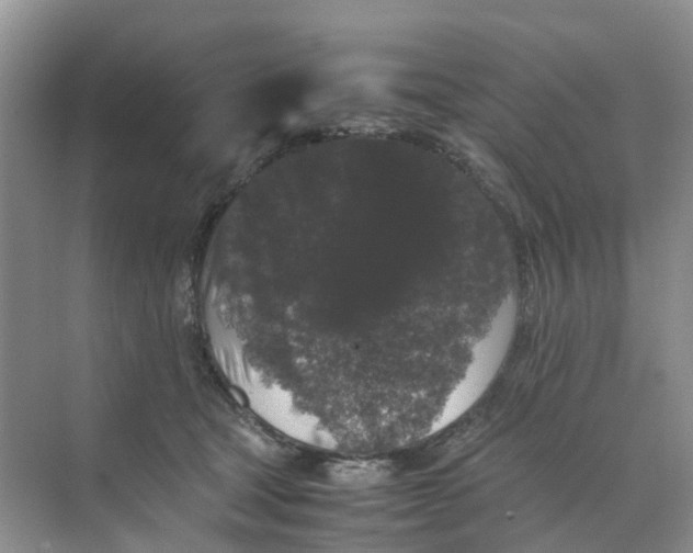 X0000070170465200606162100