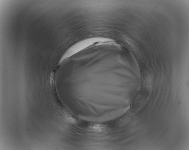 X0000070170467200606162100