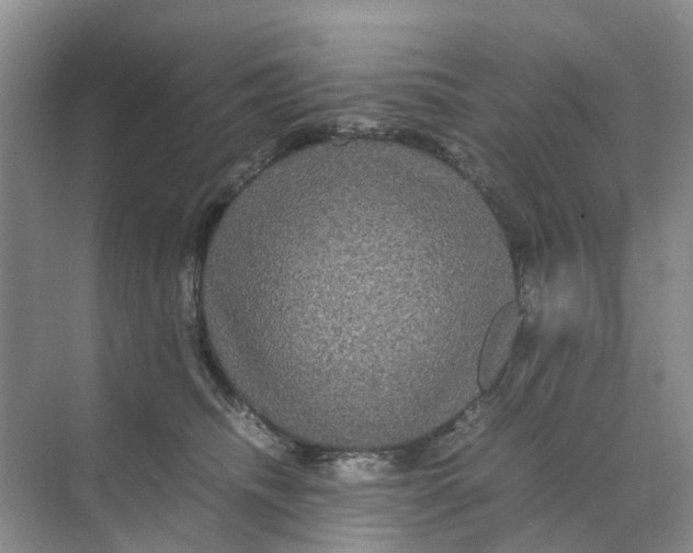 X0000070170468200606162100