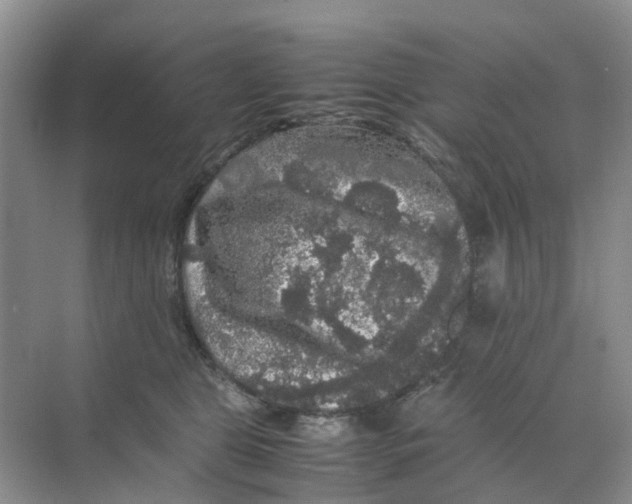 X0000070170469200606162100