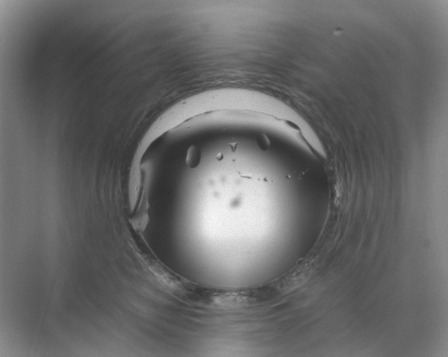 X0000070170470200606162100