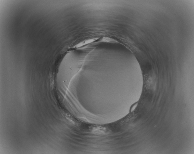 X0000070170471200606162100