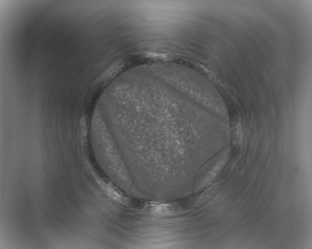 X0000070170472200606162100