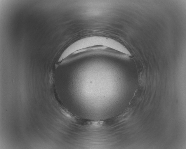 X0000070170474200606162101