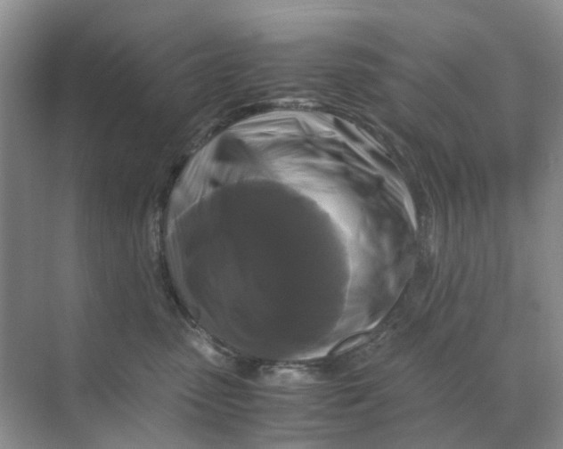 X0000070170475200606162101