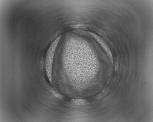 X0000070170476200606162101