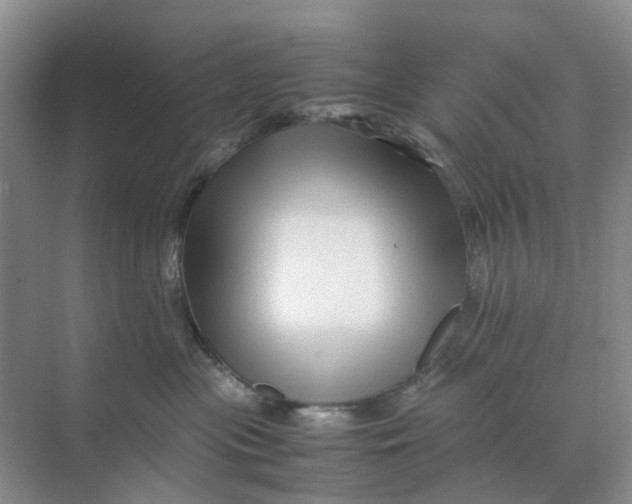 X0000070170477200606162101