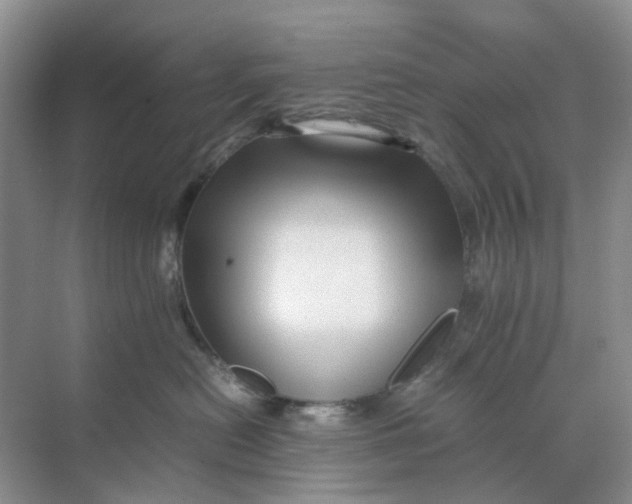 X0000070170478200606162101