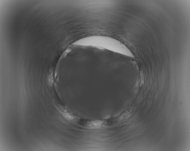 X0000070170479200606162101