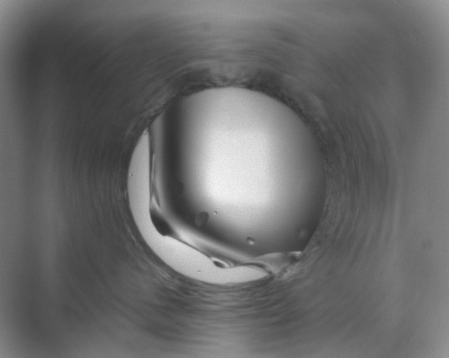 X0000070170480200606162101