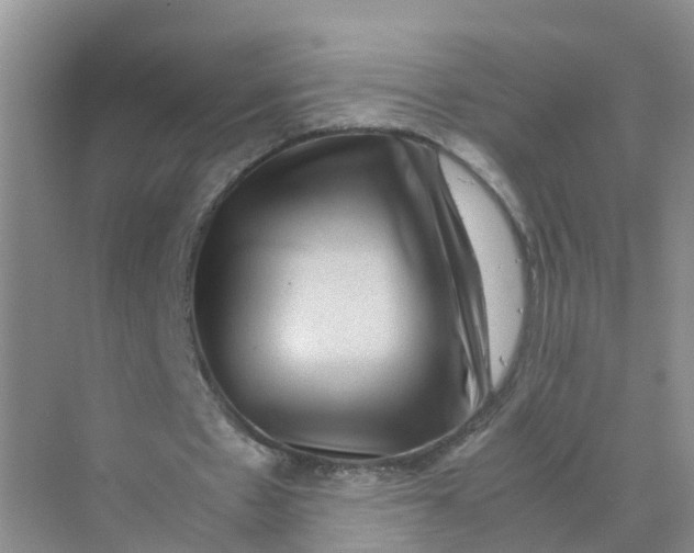 X0000070170481200606162100