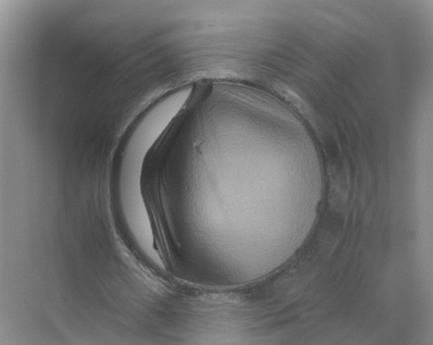 X0000070170482200606162100