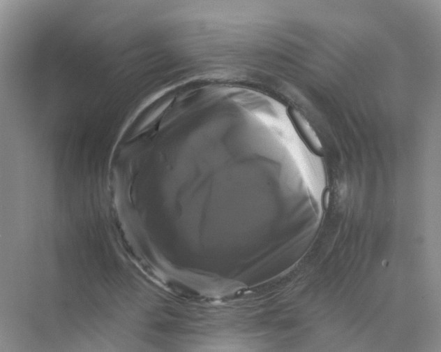 X0000070170484200606162100