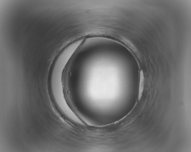 X0000070170485200606162100