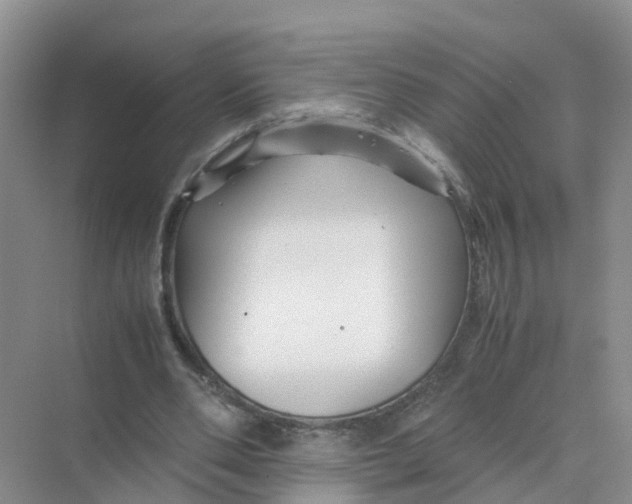 X0000070170486200606162100