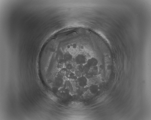 X0000070170487200606162100