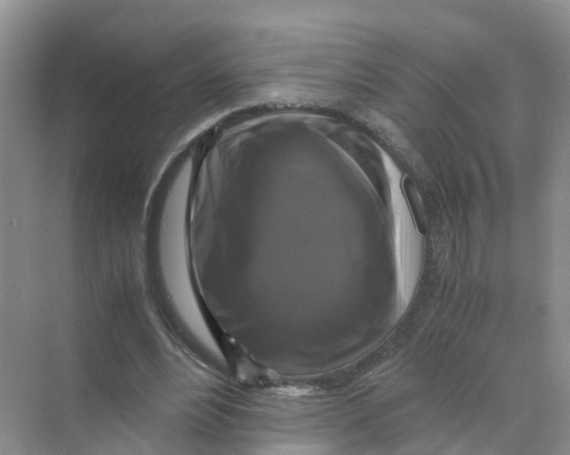 X0000070170488200606162100