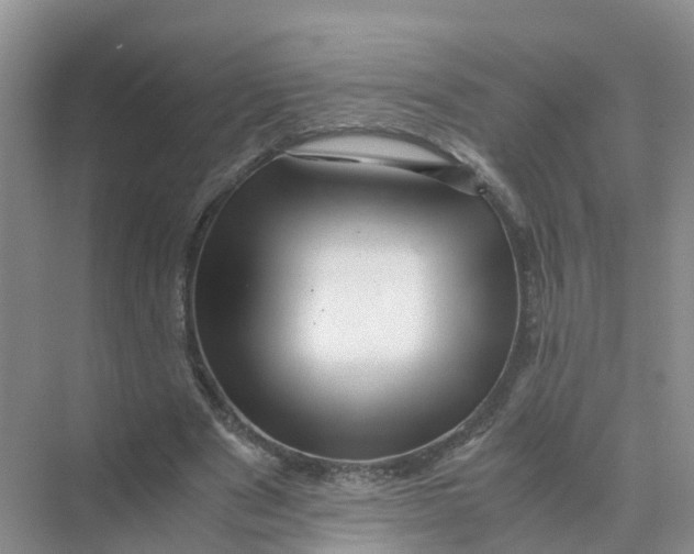 X0000070170489200606162100