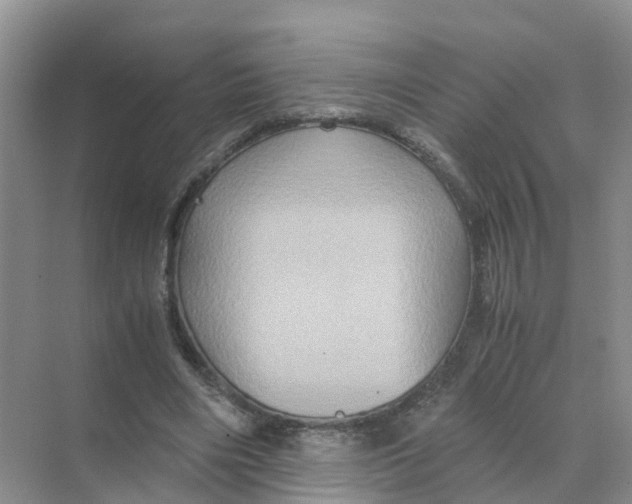 X0000070170490200606162100