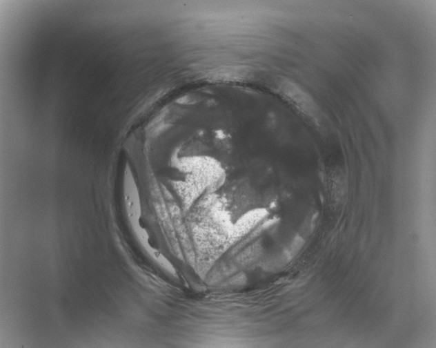 X0000070170491200606162100