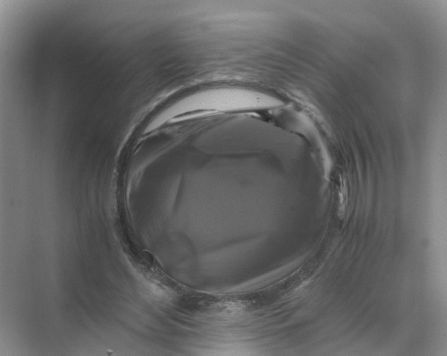 X0000070170492200606162100