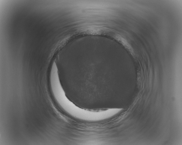 X0000070170493200606162100