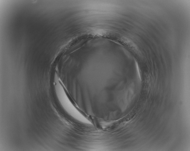 X0000070170496200606162100