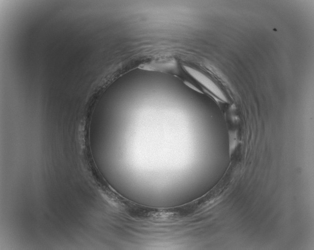 X0000070170497200606162100