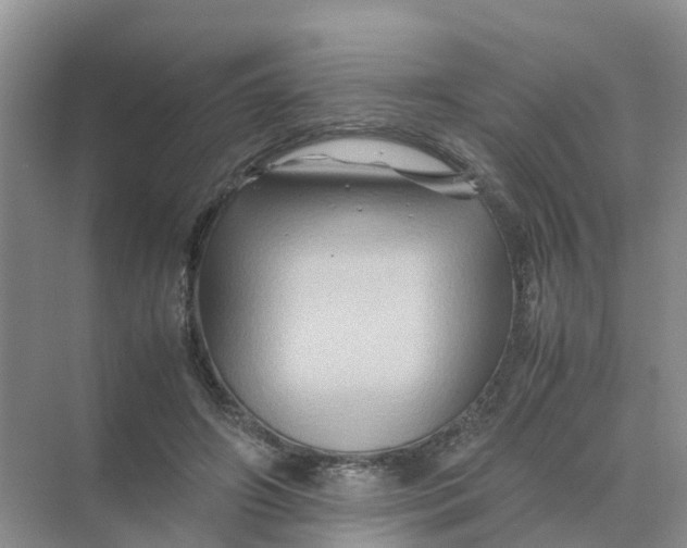 X0000070170498200606162100