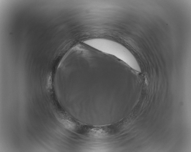 X0000070170502200606162059