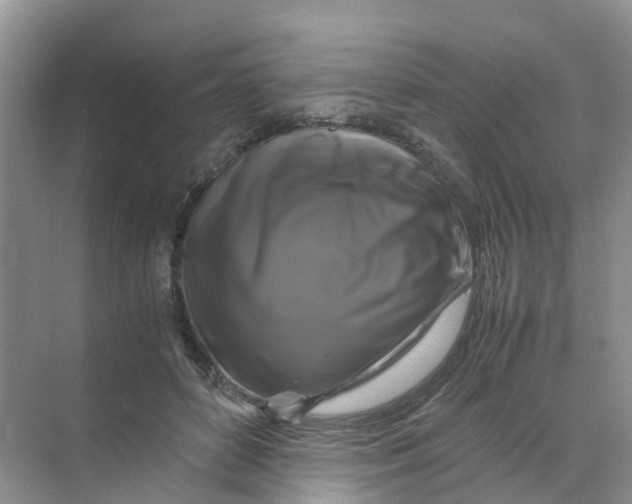 X0000070170504200606162059