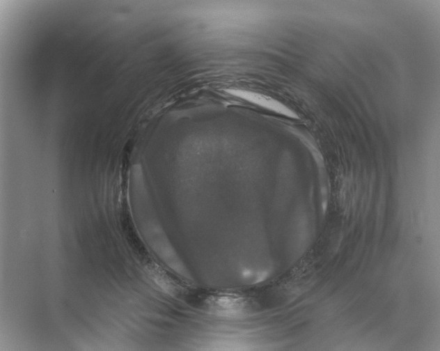 X0000070170506200606162059