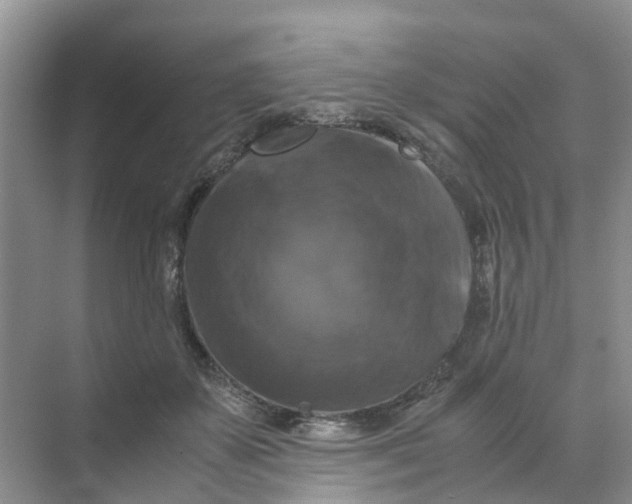 X0000070170507200606162059