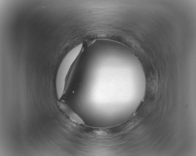 X0000070170509200606162059